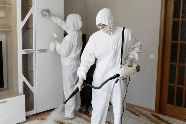 24/7 Emergency Odor Removal experts in New Springfield, OH