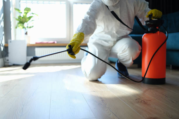 Reliable Odor Removal contractor in New Springfield, OH by Crime Scene Cleaner Online